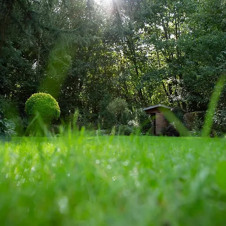 Le Nid Du Massereau Bed & Breakfast Bouguenais