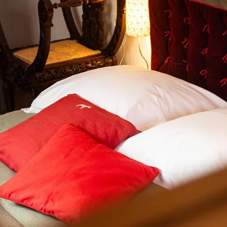 Bed & Breakfast Le Nid Du Massereau